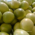 New Crop Fresh Pomelo